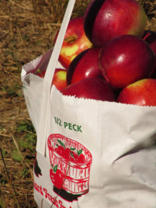 Gala Apples - Baker's Pack - Half Bushel – A FARM+HOUSE MARKET